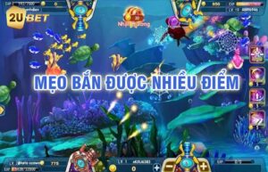 Những lưu ý quan trọng khi chơi bắn cá ăn tiền tại .app