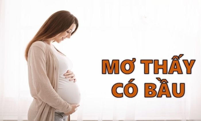 Ngủ mơ thấy mình có bầu là điềm báo cho điều gì?